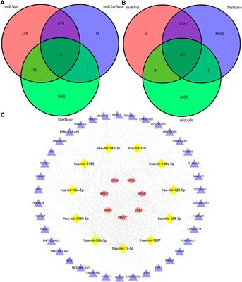 Molecular characteristics of immunocytes infiltration in primary central nervous system lymphoma